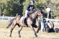 AA558370-1122-4046-9392-8F628614C902IMG_1259-200x133 【馬術】全学・総合団体で下剋上を起こし、２年連続で表彰台に立った！