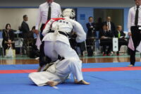 IMG_4473-200x133 【拳法】波乱の全日。岡田拳法に幕