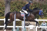 82F18B61-2CFB-4BF9-8DD2-722EDE2874A2IMG_4940-200x133 【馬術】岩崎・千優組がLA優勝!ホッコーメヴィウスは学生戦デビュー果たす